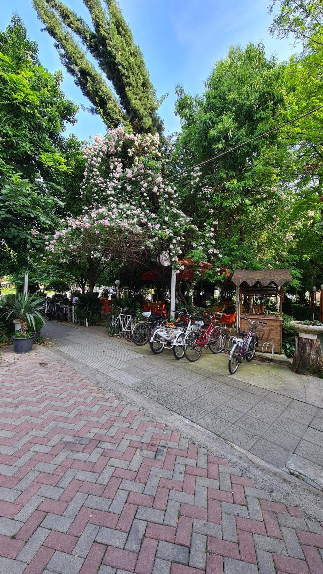 Dei Cozy Apartment Shkodër Exterior foto