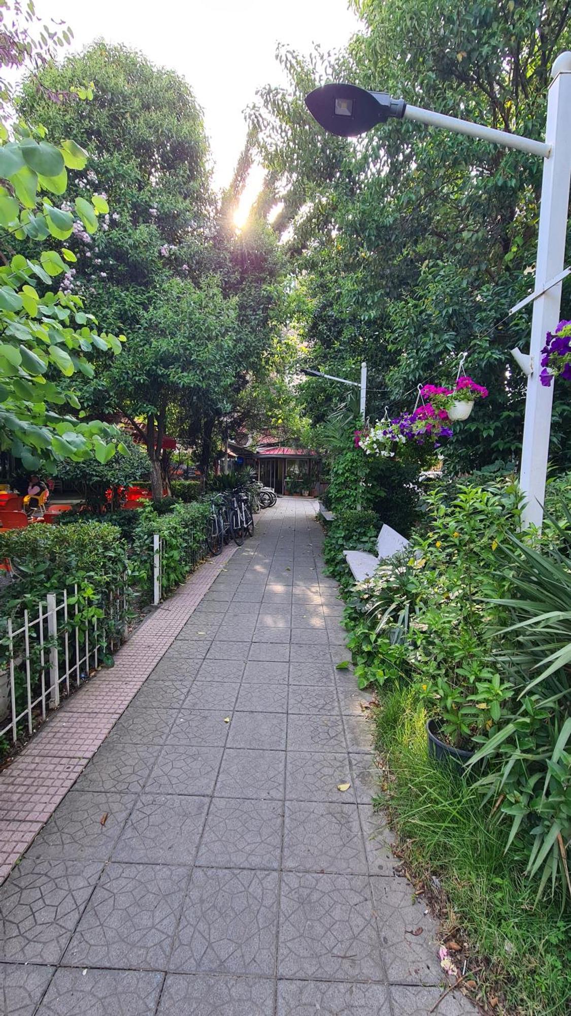 Dei Cozy Apartment Shkodër Exterior foto